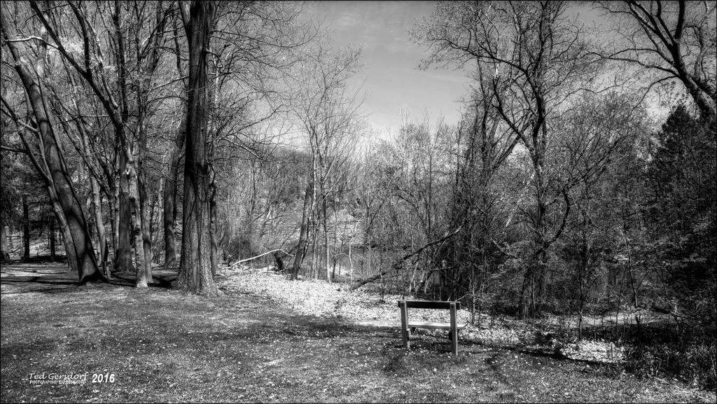 4-27-16 MetroPark HDR    6BW.jpg