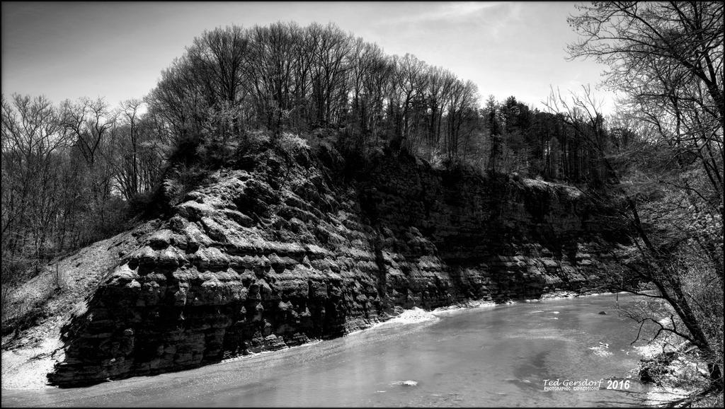 4-27-16 MetroPark HDR    8BW.jpg