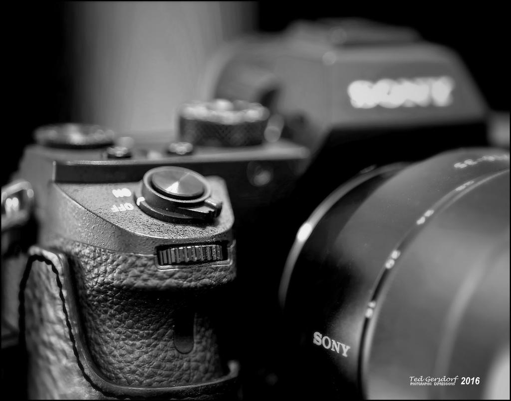 4-29-16 Sony A7II HDR   15.2.jpg