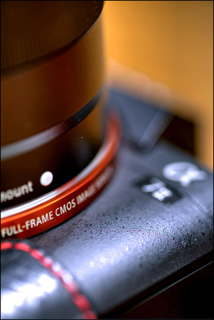 4-29-16 Sony A7II HDR   21.1.jpg