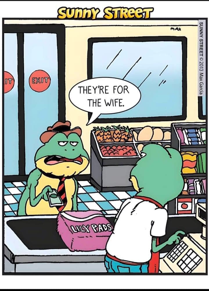 428629414_7066124096840183_2034356773193546171_n.jpg