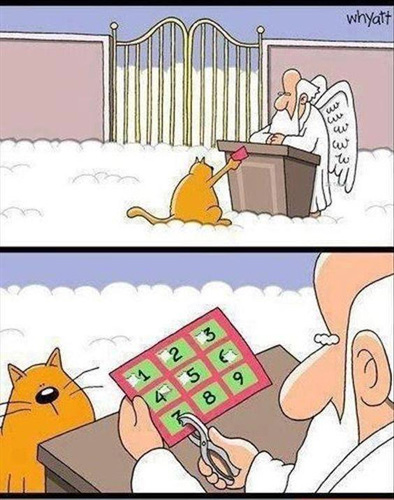43624220_1967577163534721_3446661347520020480_n.jpg