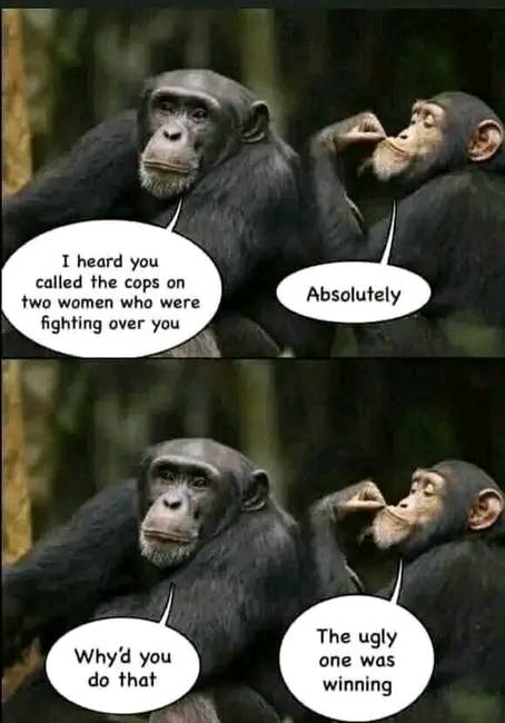 492096888_536983039452123_8242055548938138116_n.jpg