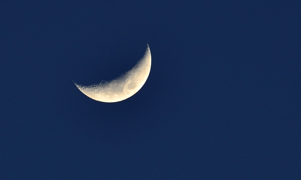 4th Apr 2014 011.JPG
