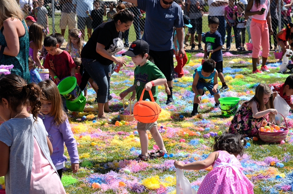 4th Apr 2015 013.JPG