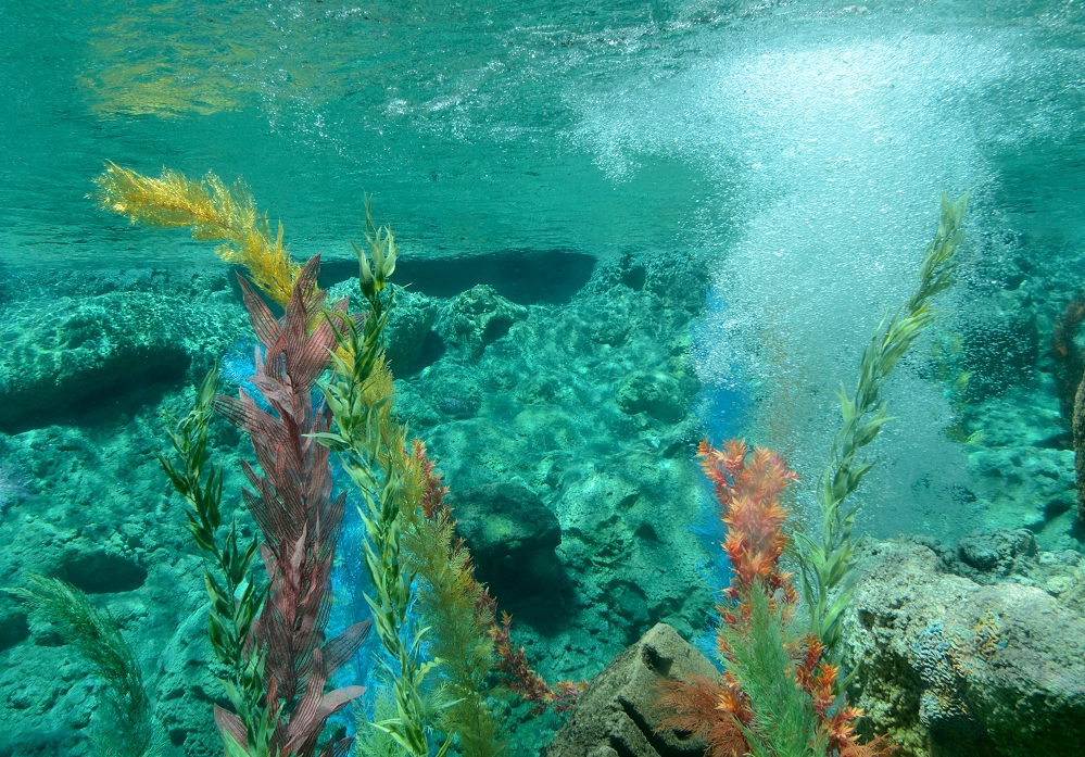4th Aug 2015 035.JPG