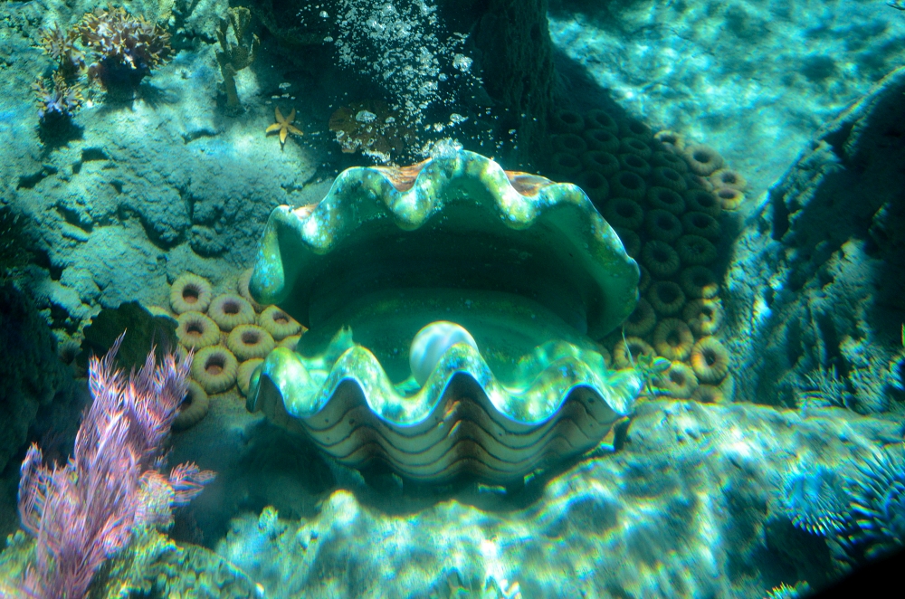 4th Aug 2015 044.JPG