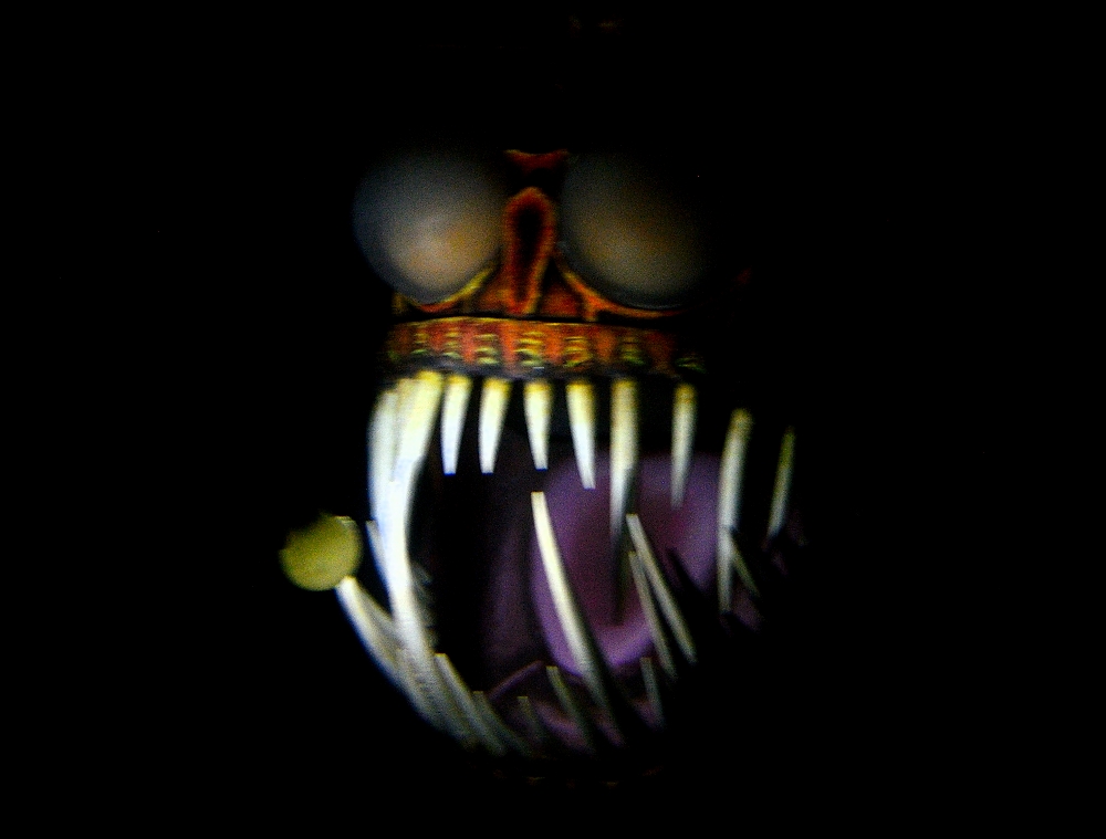 4th Aug 2015 052.JPG