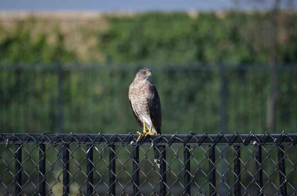 4th August 2013 038.jpg