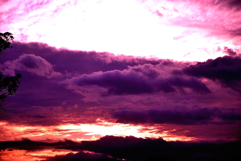 4th Feb 2014 001.JPG