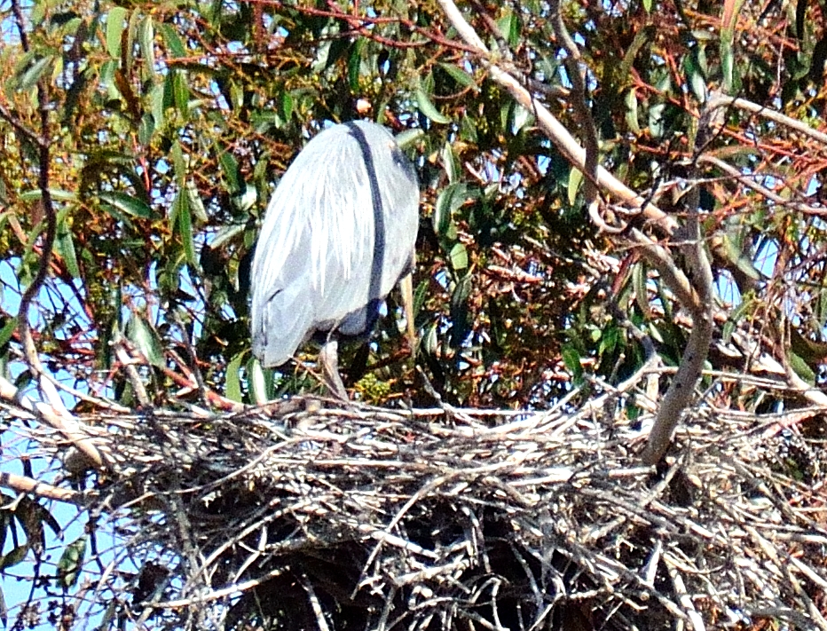 4th May 2014 027.JPG