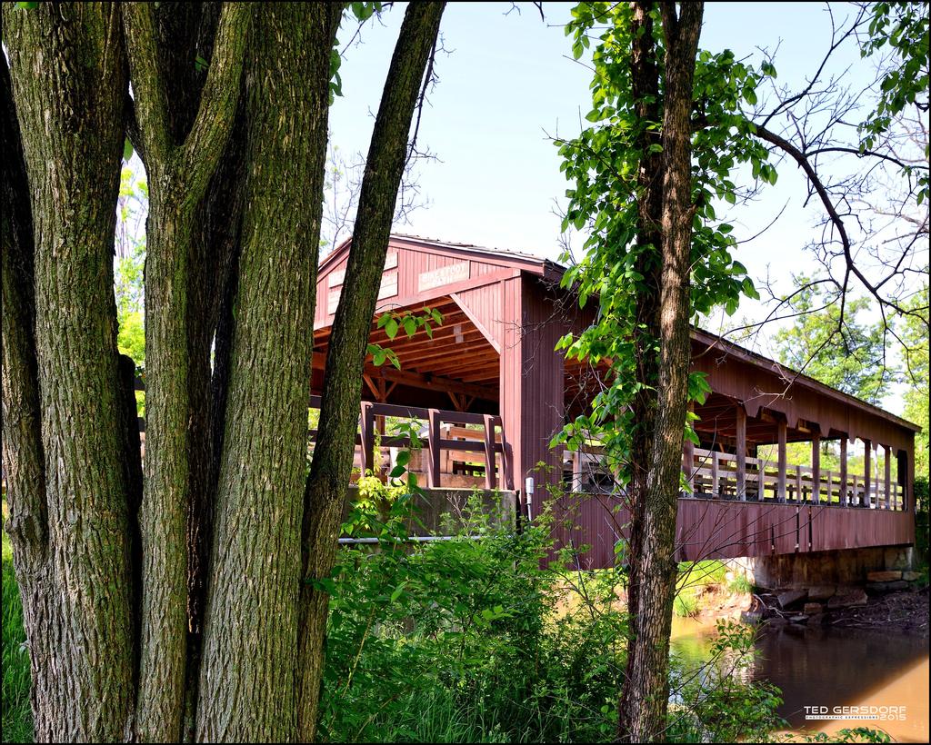 5-28-15 Metro Park   10..jpg