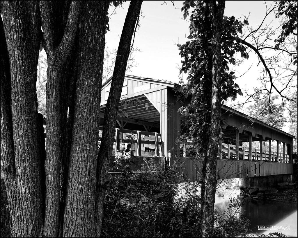 5-28-15 Metro Park   10bw..jpg
