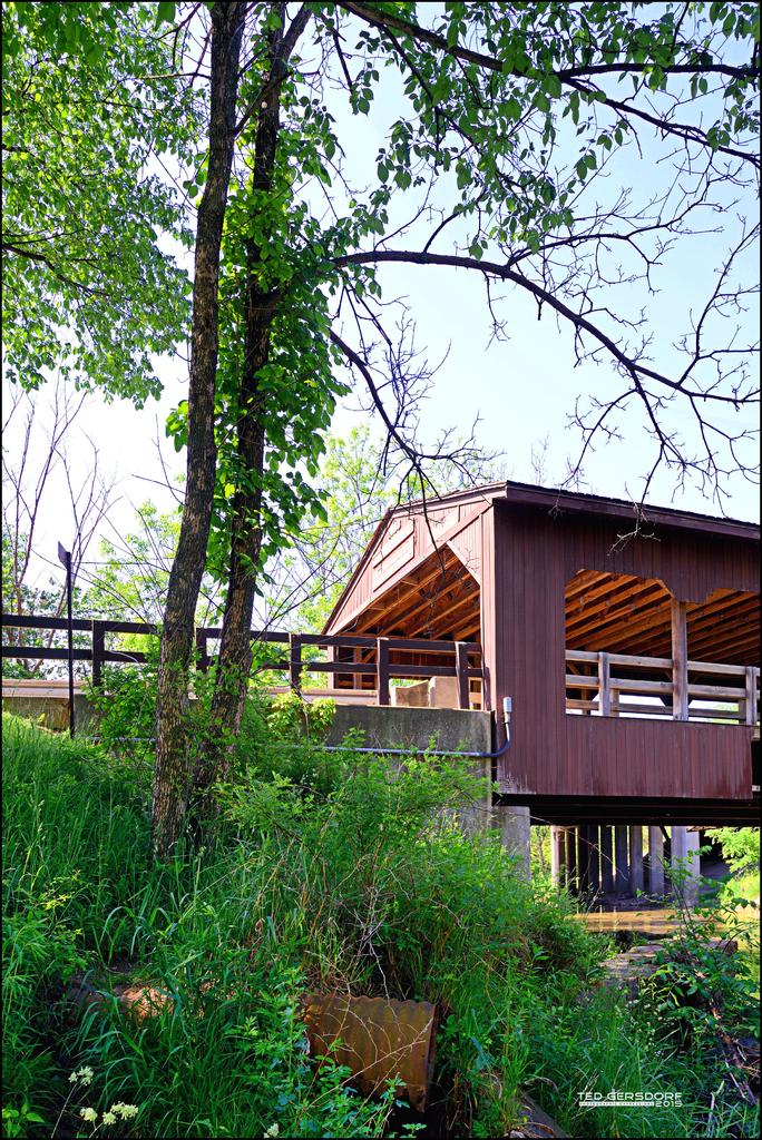5-28-15 Metro Park   4..jpg