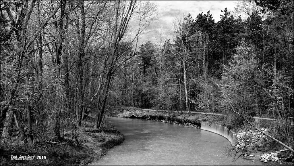 5-3-16 Metro Park   2.2SM.jpg