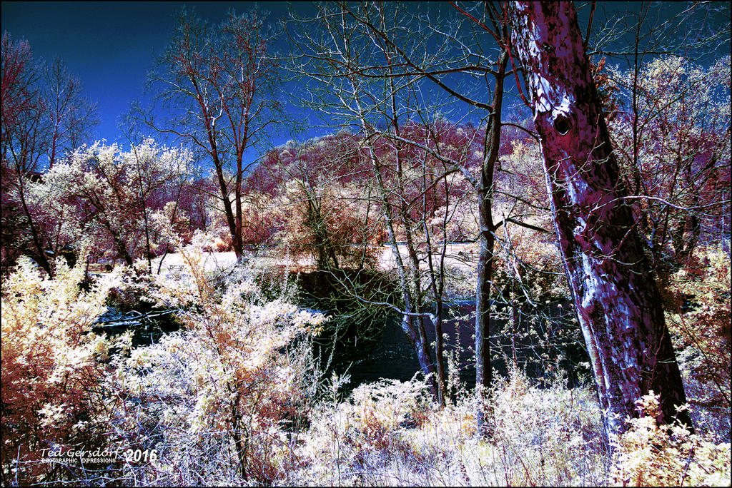 5-6-16 Penninsula IR    1.1sm.jpg