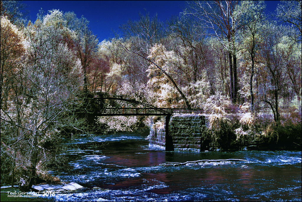 5-6-16 Penninsula IR    13.1sm.jpg