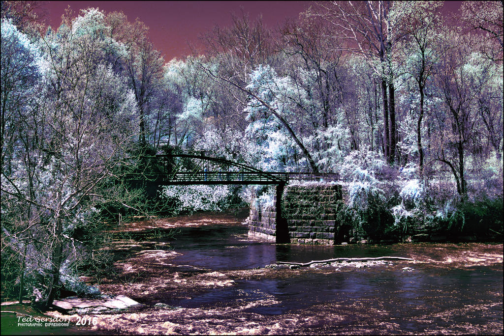5-6-16 Penninsula IR    13.3sm.jpg