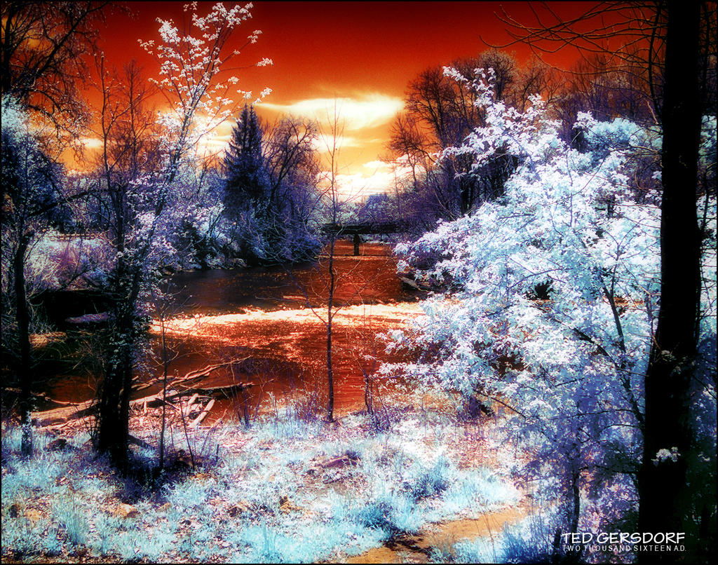5-6-16 Penninsula IR    14.3.jpg