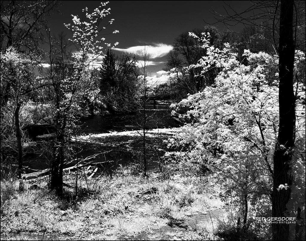 5-6-16 Penninsula IR    14.4.jpg