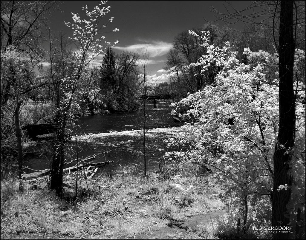 5-6-16 Penninsula IR    14.4.jpg