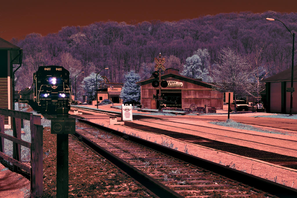 5-6-16 Penninsula IR    15.1sm.jpg