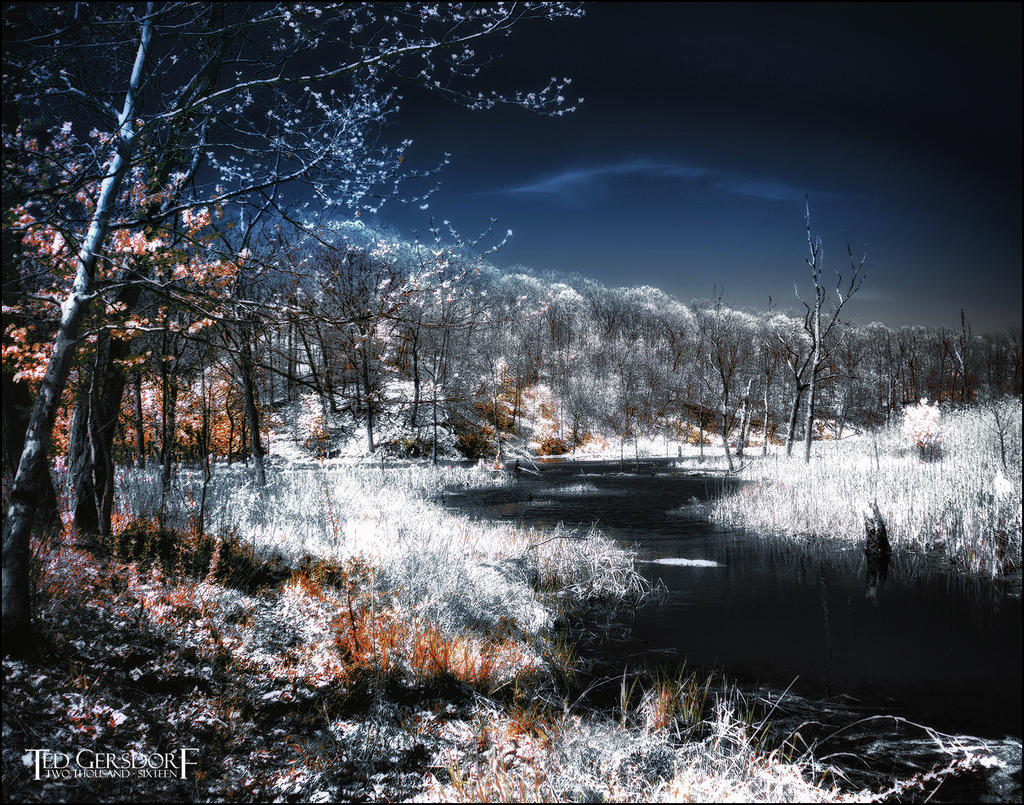 5-6-16 Penninsula IR    19.2.jpg