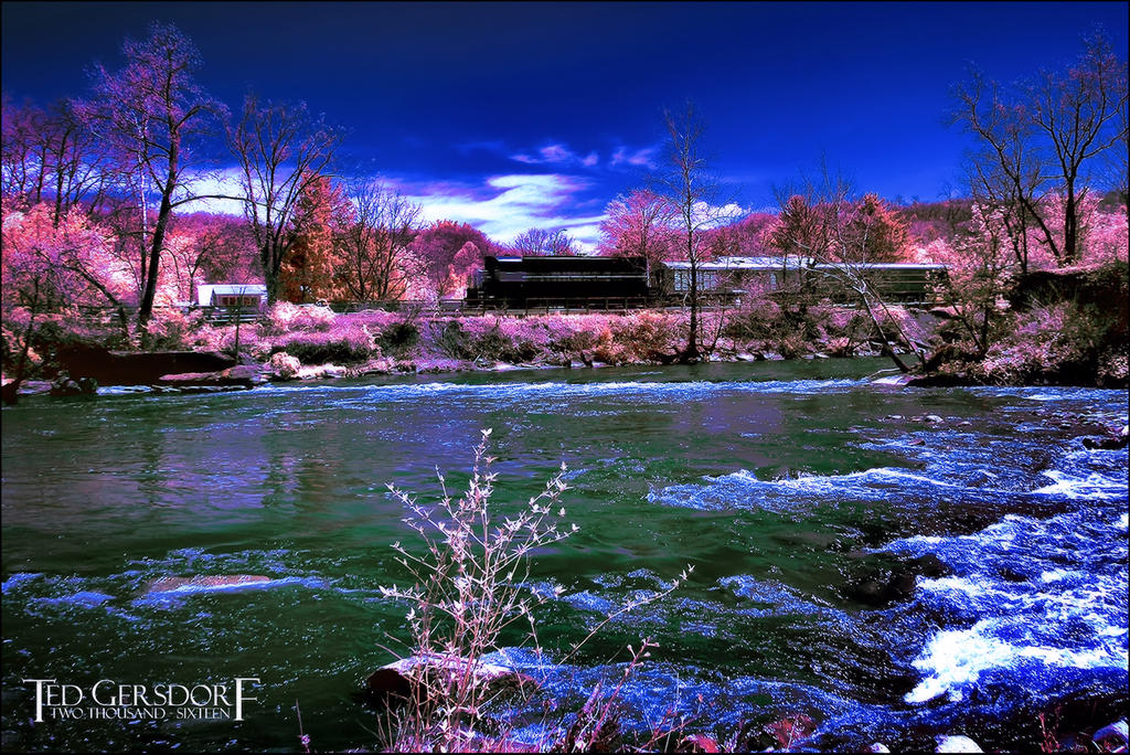 5-6-16 Penninsula IR    21.1.jpg