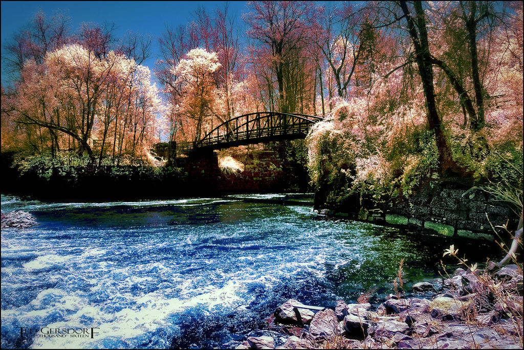 5-6-16 Penninsula IR    22.2.jpg