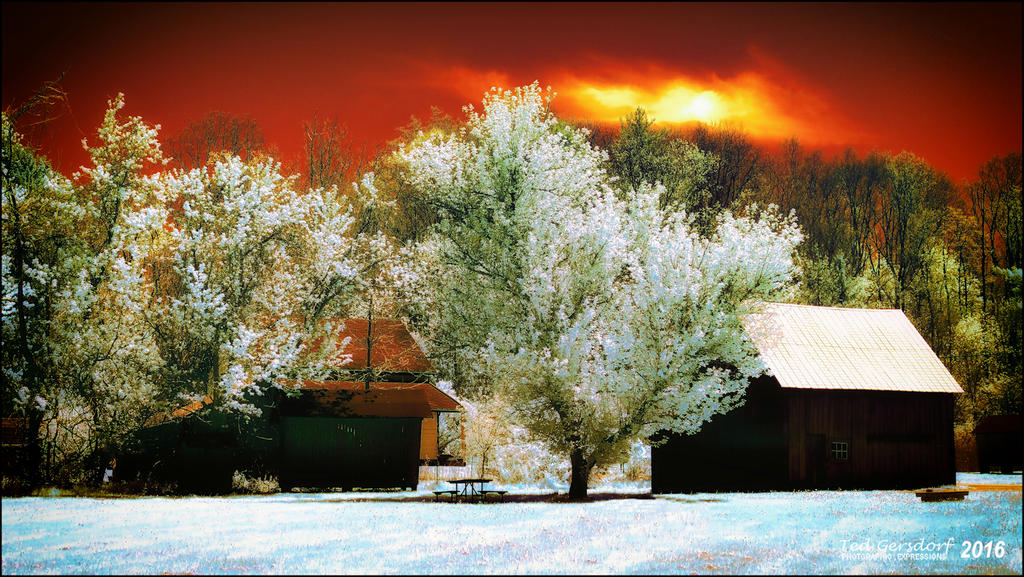 5-6-16 Penninsula IR    9.2sm.jpg