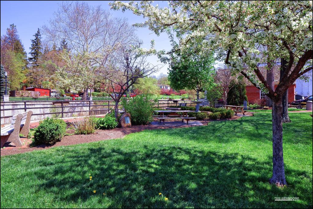 5-7-15 Chagrin Falls   16.jpg