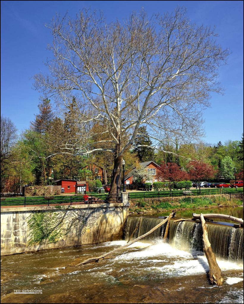 5-7-15 Chagrin Falls   22.jpg