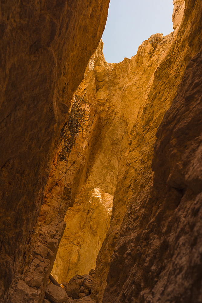 5 - Desert Excursion of May 2015.jpg