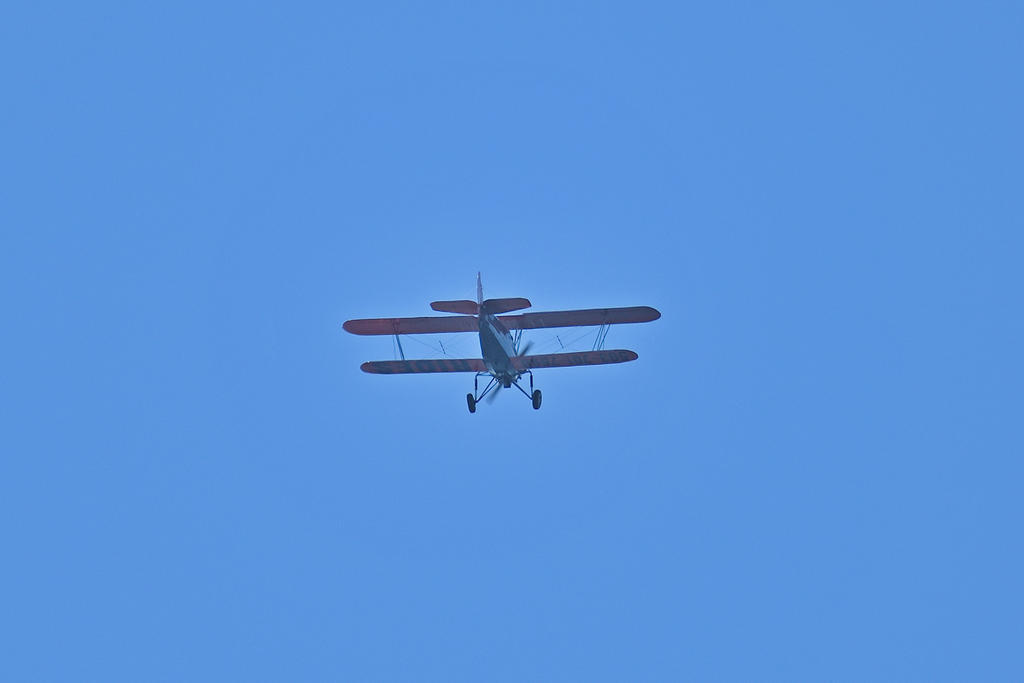 500_0002_01_LSh_cr.jpg