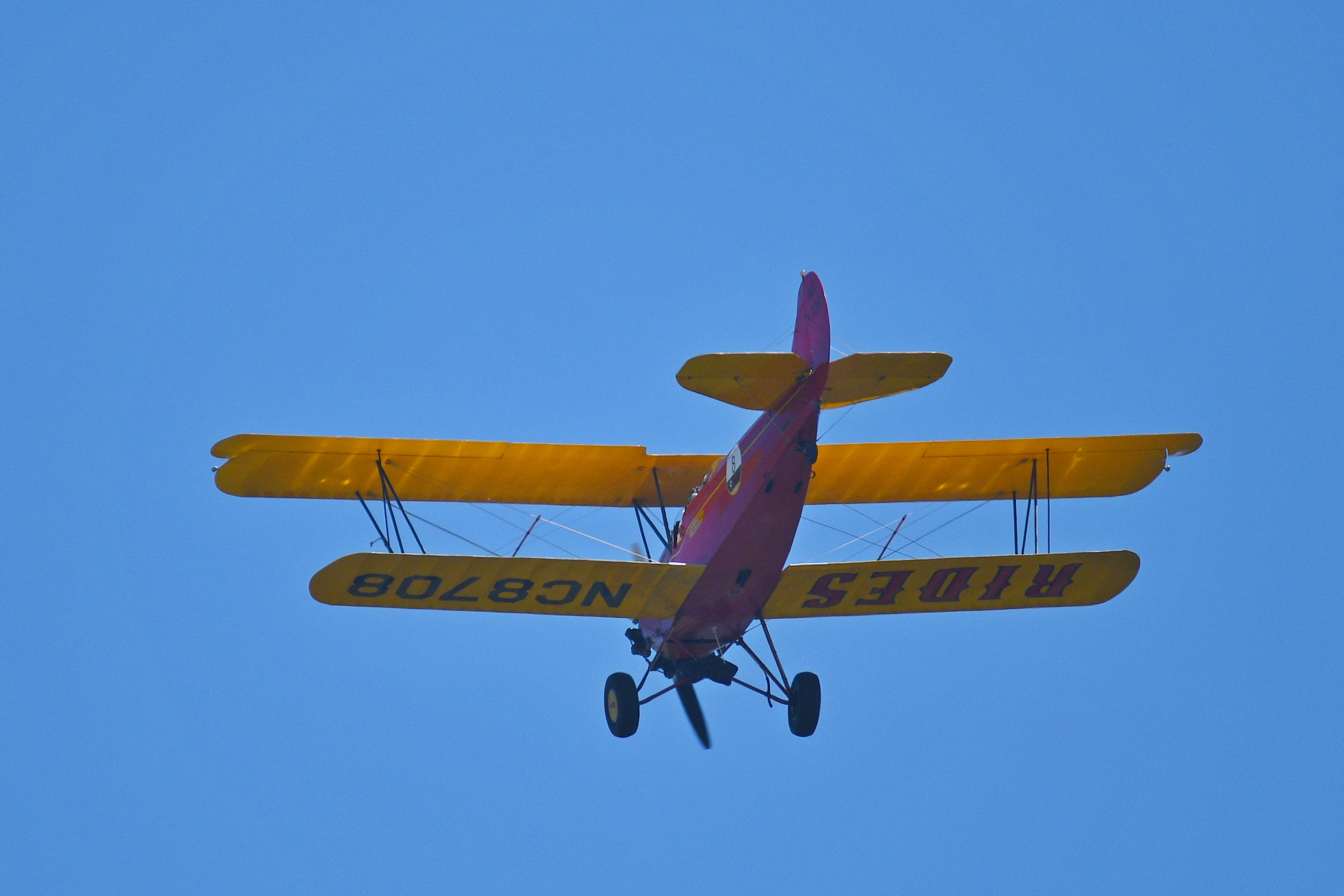 500_0009_L_cr.jpg