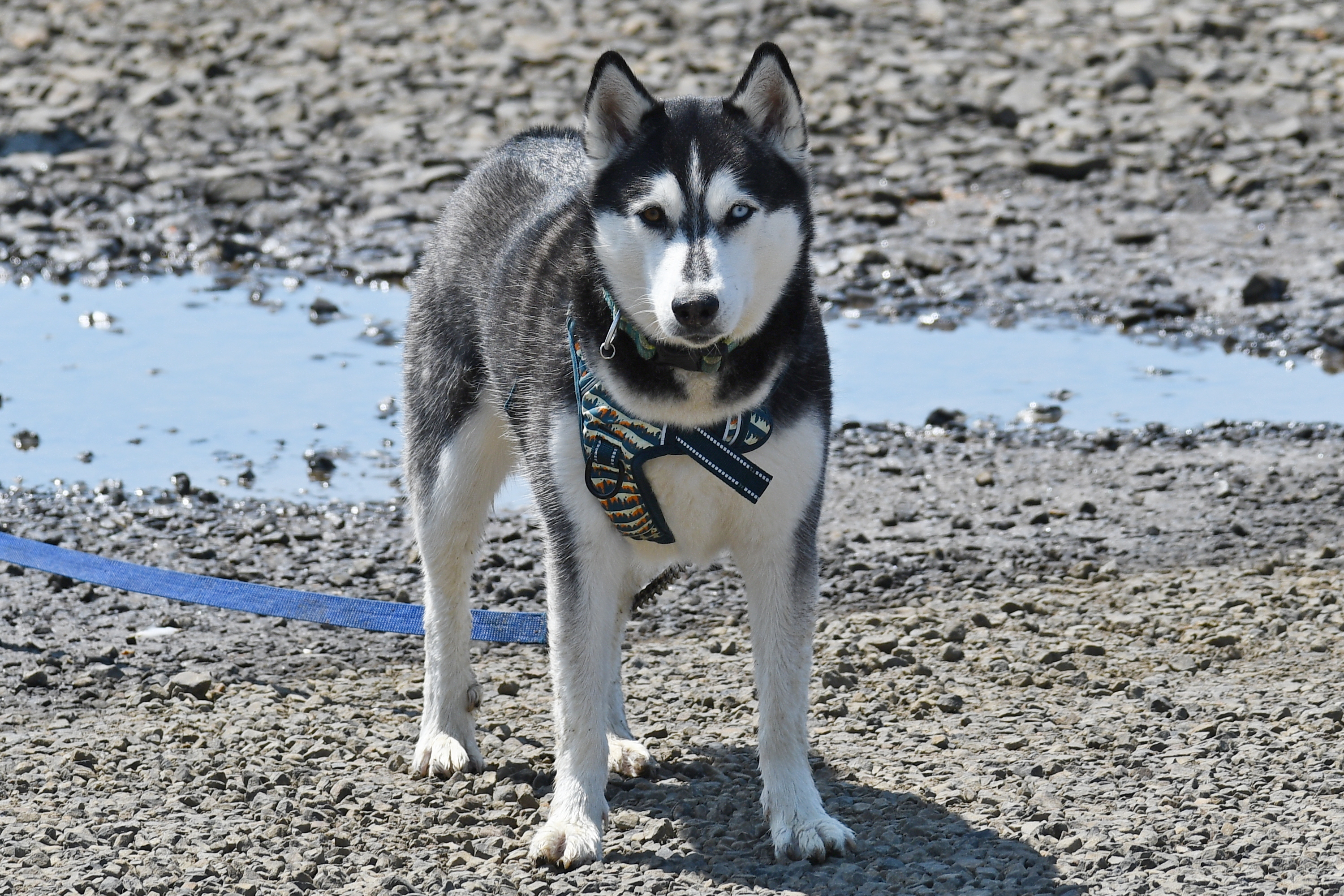500_0046_L_cr.jpg