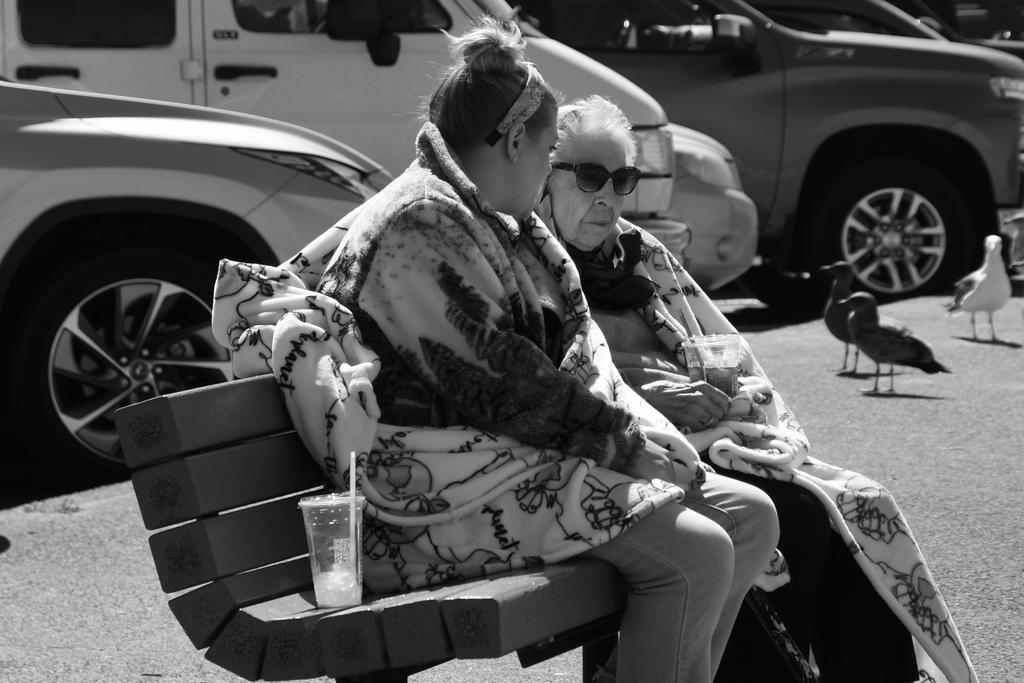500_0079_cr_BW.jpg