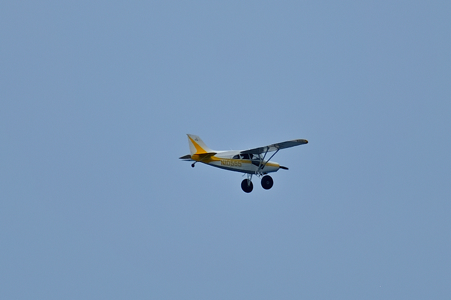 500_0105R_LSh_cr.jpg