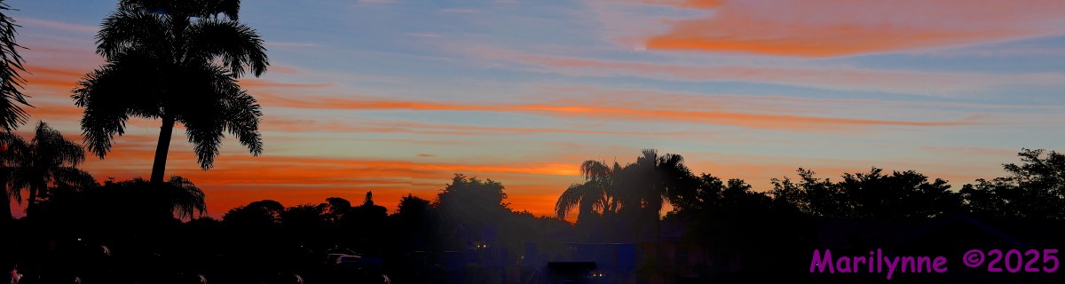 500_0325_stitch7_001.JPG