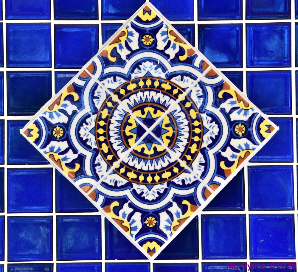 500_1000_001.JPG