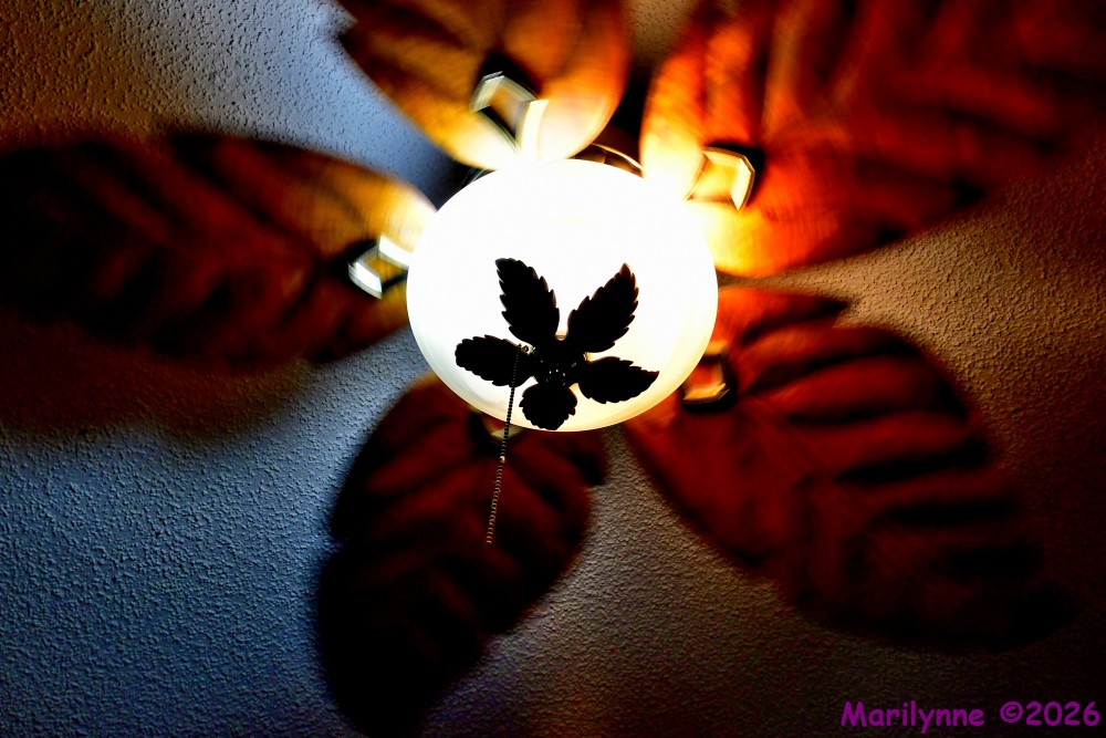 500_2928_001.JPG