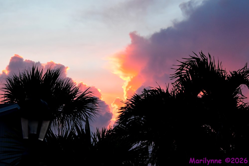 500_3061_001.JPG