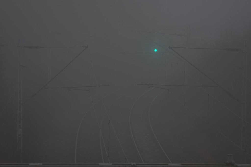 500_4725-DeNoiseAI-raw.jpg