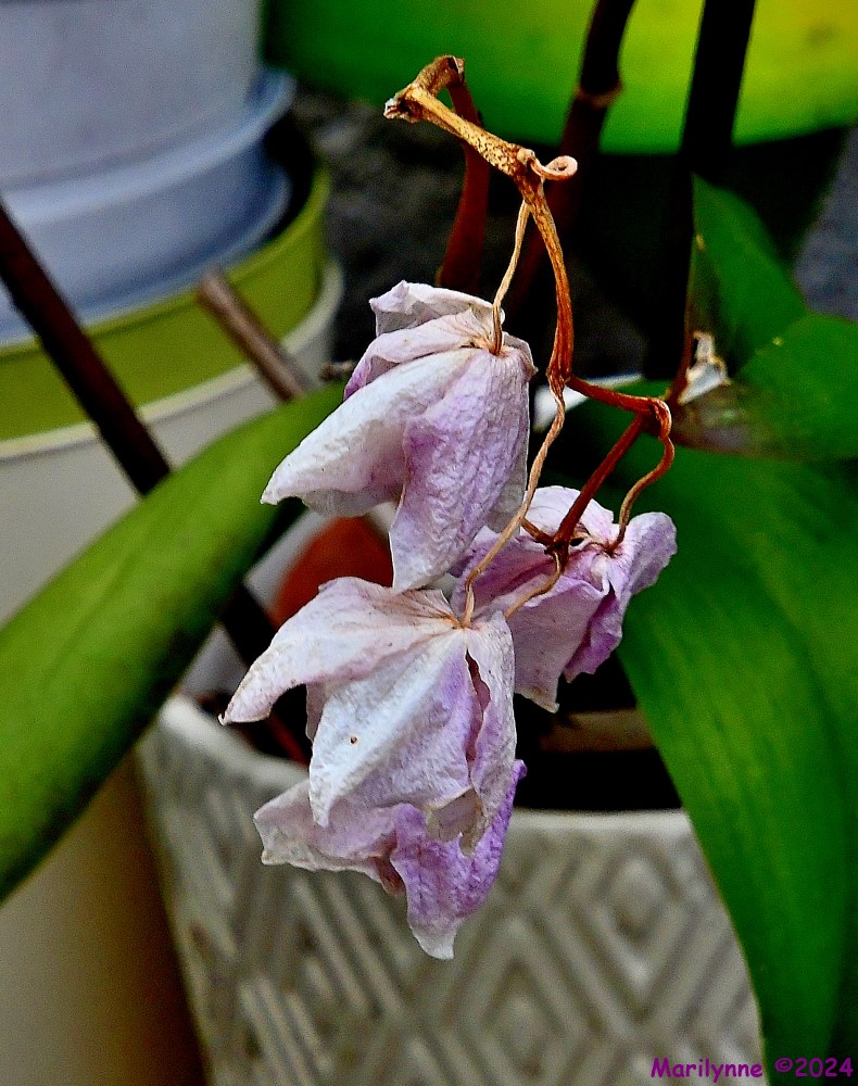 500_8543_001.JPG