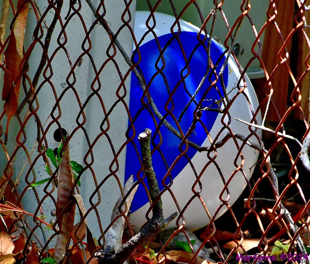 500_8554_001.JPG