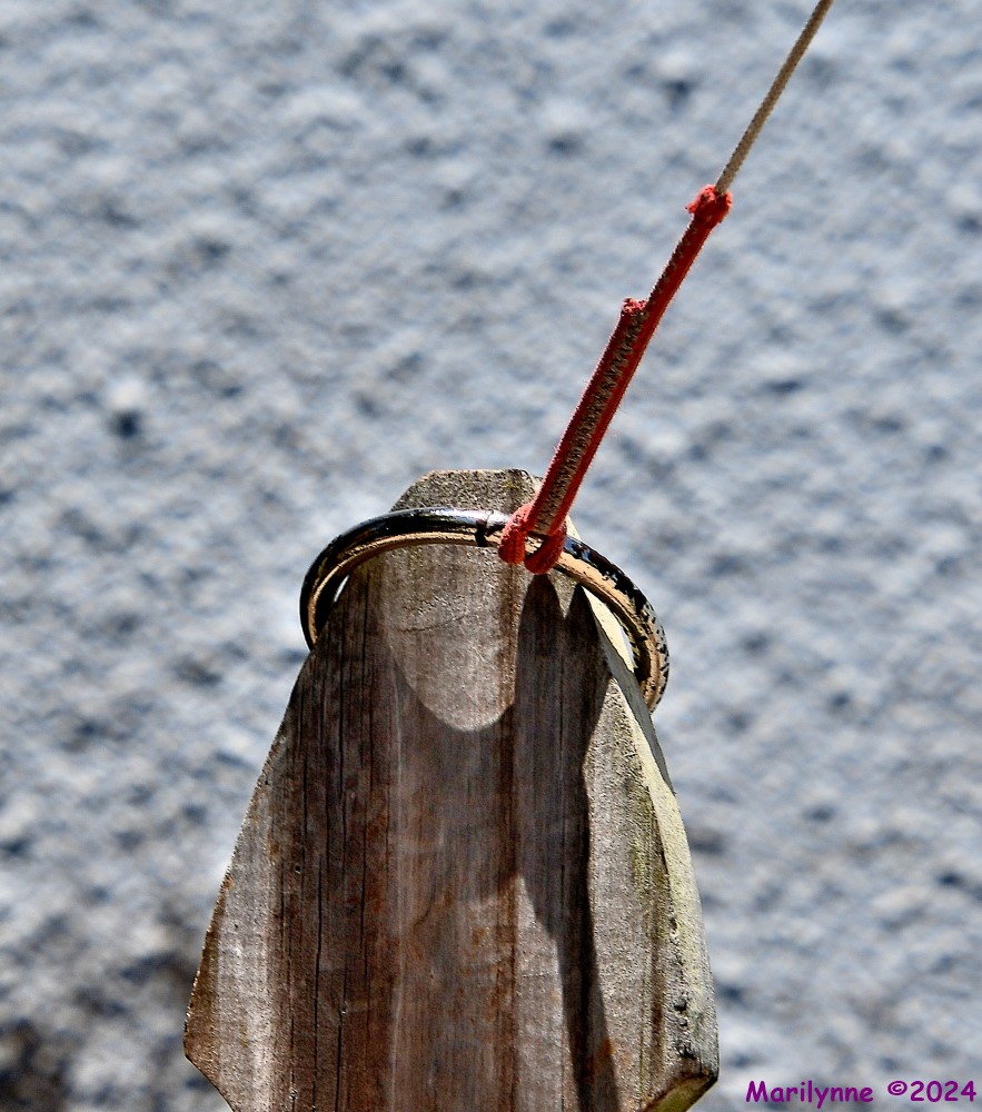 500_8839_001.JPG