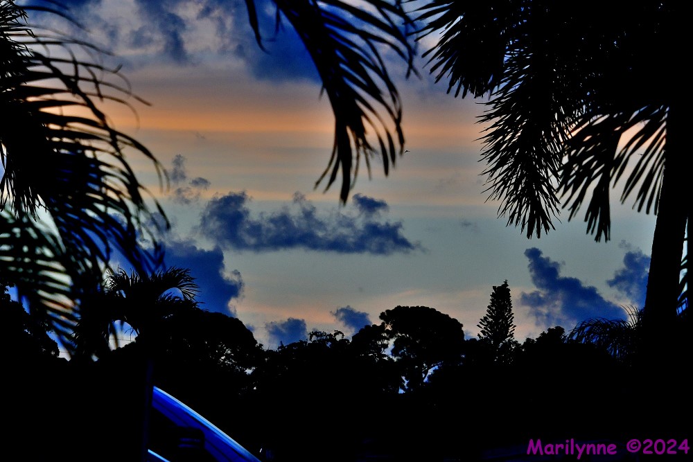 500_8879_001.JPG