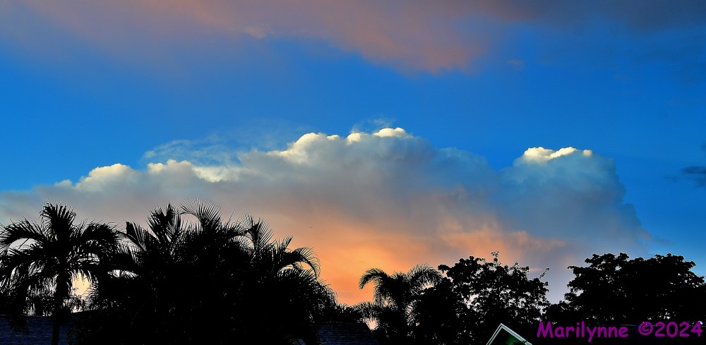 500_9065_001.JPG
