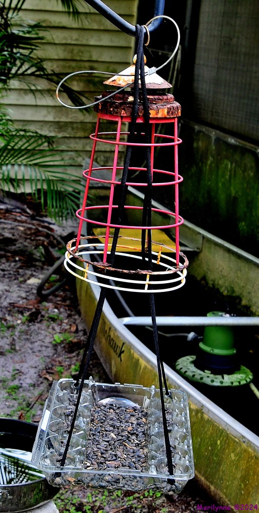 500_9394_001.JPG