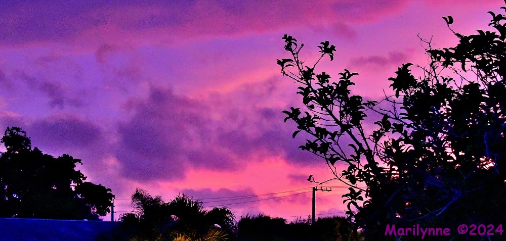 500_9423_001.JPG